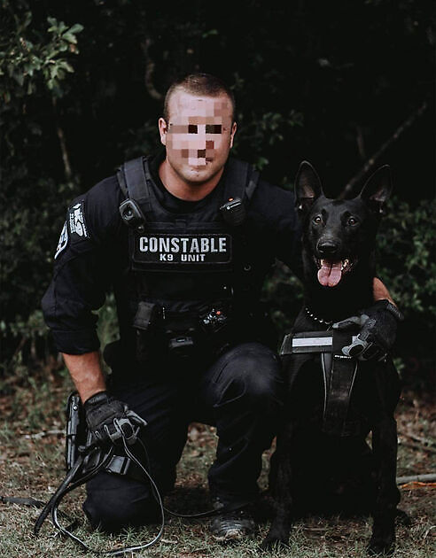 Rambo - SOLD - Adogs Protection