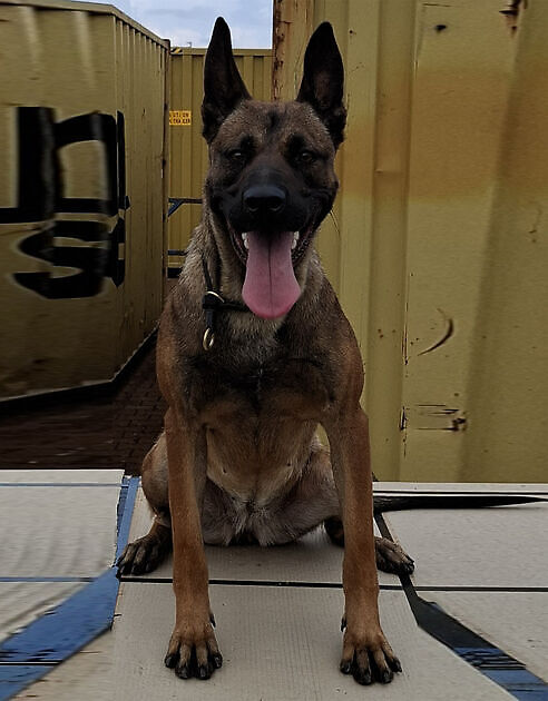Truus - RESERVED - Adogs Protection