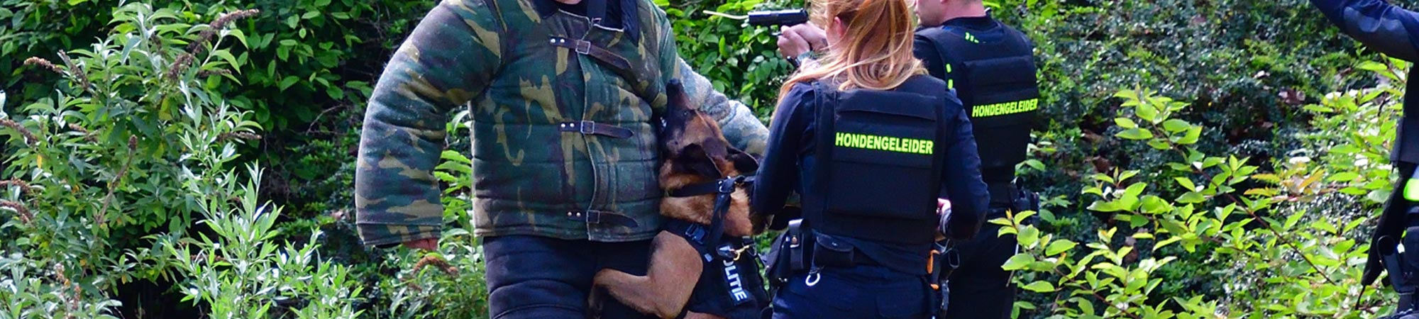  - Adogs Protection