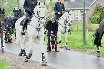 Detection dogs are trained at the Dutch training center Adogs Protection Adogs Protection