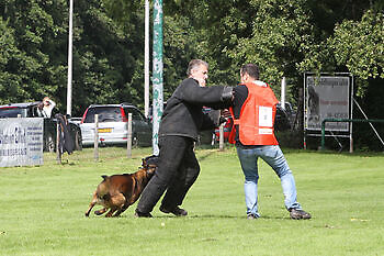 Detection dogs are trained at the Dutch training center Adogs Protection Adogs Protection