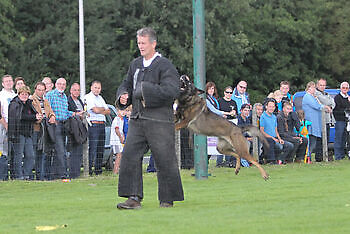 Picture  Donne Scheidt NK KNPV Adogs Protection