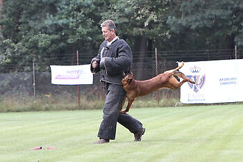 Training riot police Adogs Protection