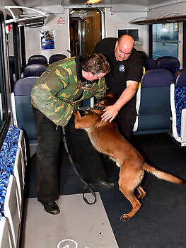 Foto NK KNPV pakwerker Donné Scheidt Adogs Protection