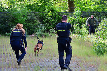 Pakwerk KNPV keuring Adogs Protection