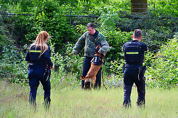 pakwerk NK Donné Scheidt Adogs Protection