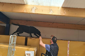 Training ZN reizen Susteren Adogs Protection