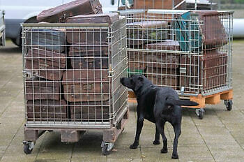 Training ZN reizen Susteren Adogs Protection