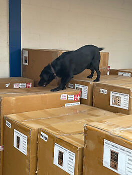Training ZN reizen Susteren Adogs Protection