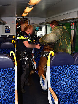 Foto NK KNPV pakwerker Donné Scheidt Adogs Protection
