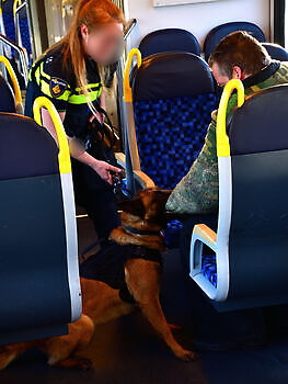 Foto NK KNPV pakwerker Donné Scheidt Adogs Protection