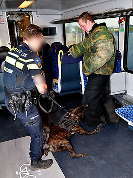 Foto NK KNPV pakwerker Donné Scheidt Adogs Protection