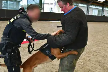 Protection dogs - Adogs Protection