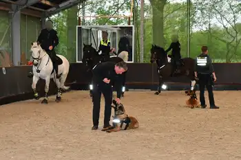 Training - Adogs Protection