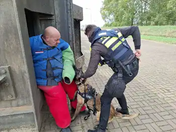 Dex - SOLD Adogs Protection