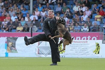Foto NK decoy Donne Scheidt Adogs Protection