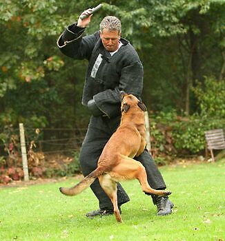Foto NK KNPV pakwerker Donné Scheidt Adogs Protection