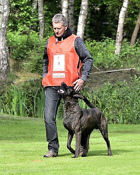 Foto NK KNPV pakwerker Donné Scheidt Adogs Protection