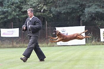 Pakwerk KNPV keuring Adogs Protection