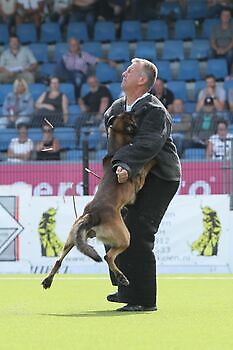 pakwerk NK Donné Scheidt Adogs Protection