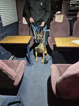 Training ZN reizen Susteren Adogs Protection