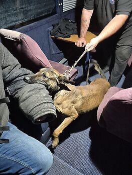 Training ZN reizen Susteren Adogs Protection