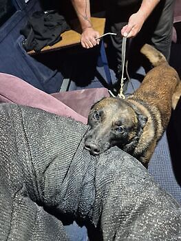 Training ZN reizen Susteren Adogs Protection