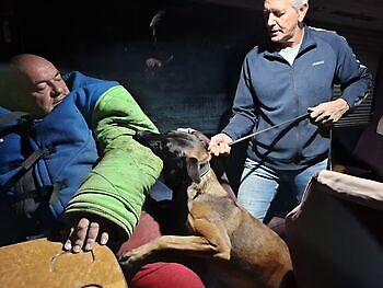 Training ZN reizen Susteren Adogs Protection
