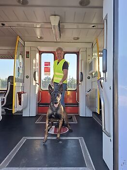 Training Kay train. Adogs Protection