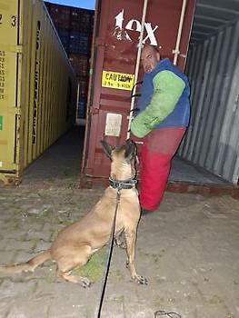 Training Container Terminal Kimmy - Decoy Vik Adogs Protection