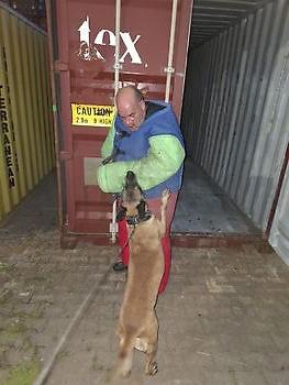 Training Container Terminal Kimmy - Decoy Vik Adogs Protection